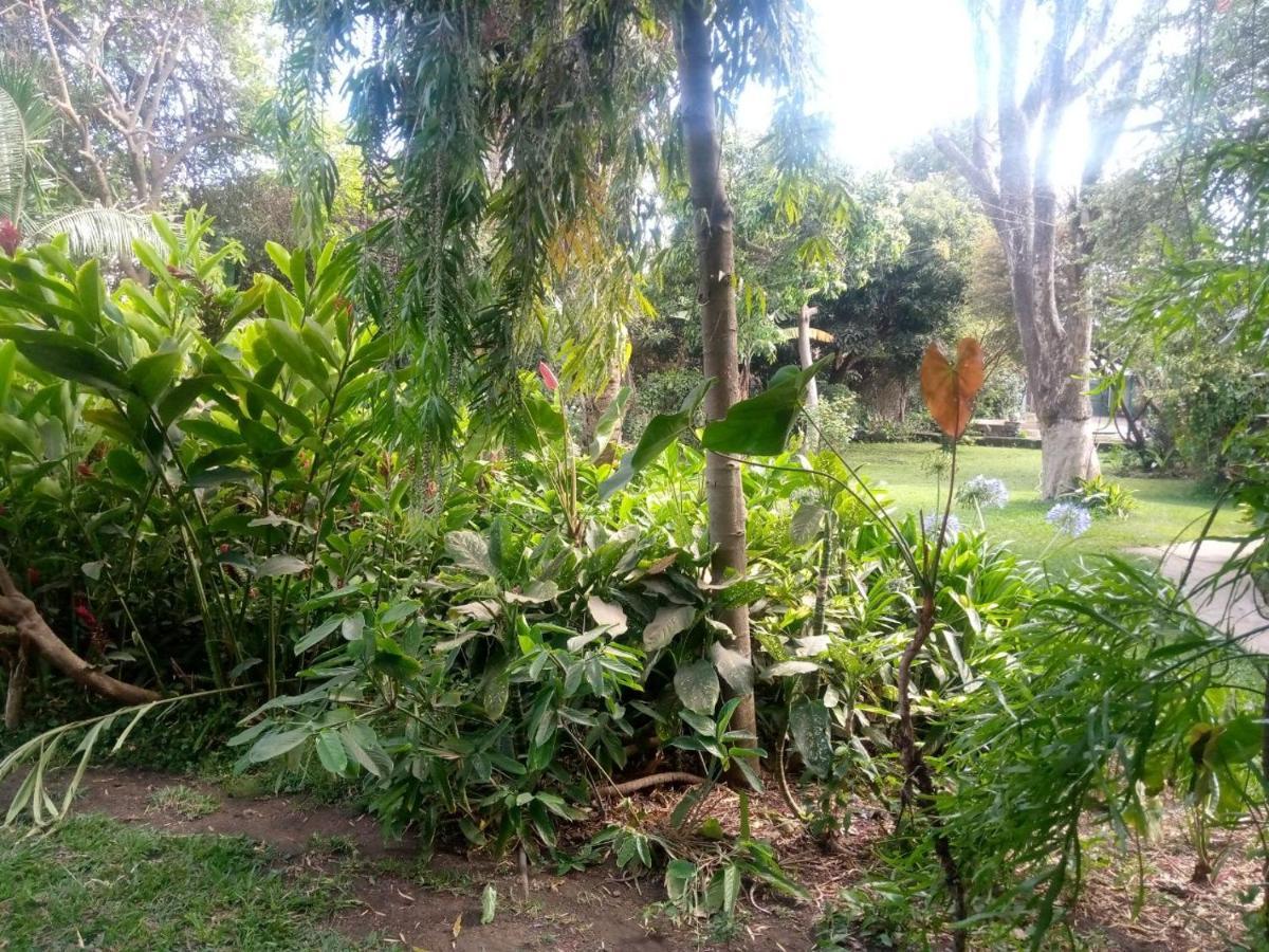 Karibu Heritage House Arusha Bagian luar foto